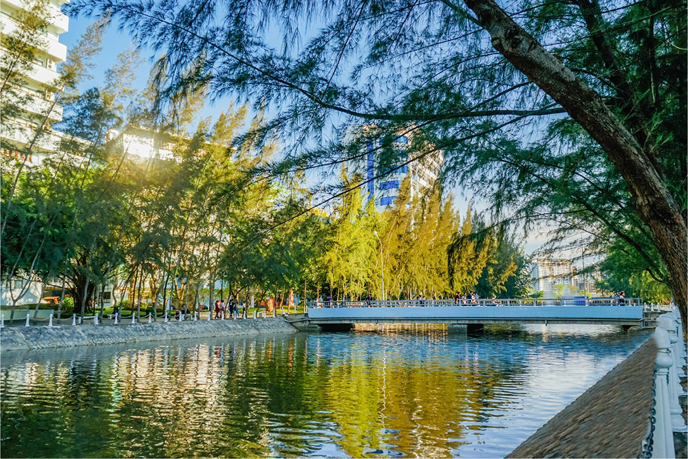 Tiến sĩ